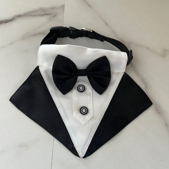 None Other - Small Dog Tuxedo Collar